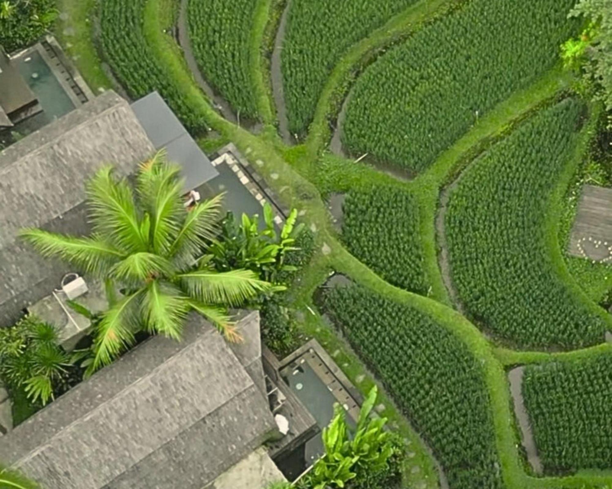 Menzel Ubud Exterior photo